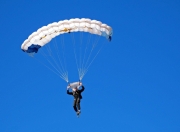 熊猫体育官方-战术的胜利与英雄的诞生，迪马利亚如何撕开瑞典防线，诠释塞内加尔的压制艺术