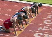 熊猫体育-年度焦点之战，辽宁队如何淘汰森林狼？