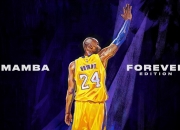 熊猫体育赛事-德甲争冠战之夜，哈登稳定输出不掉线