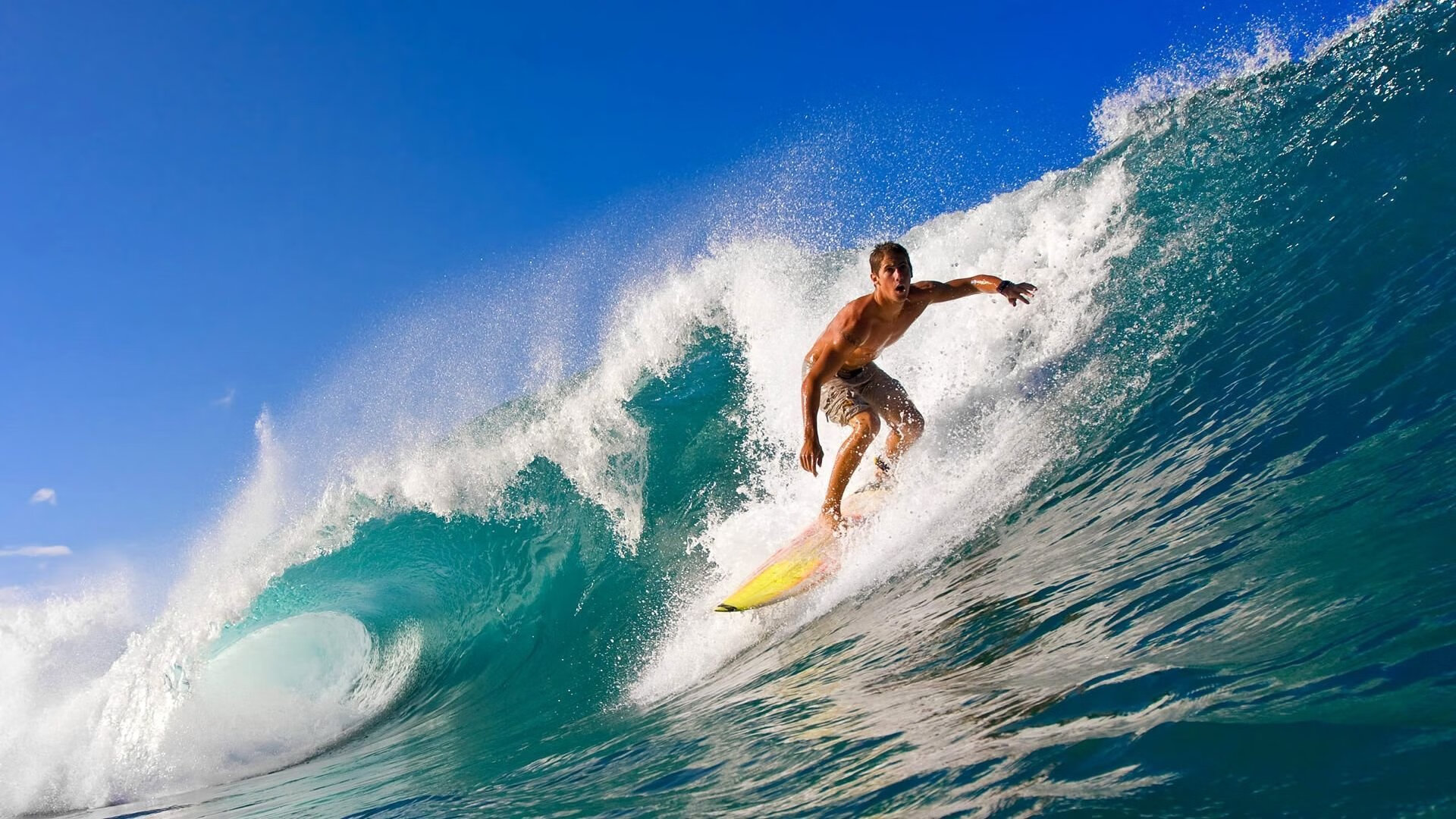 舞台中央的巨人，当上海大鲨鱼遇见戈贝尔的勇士法则